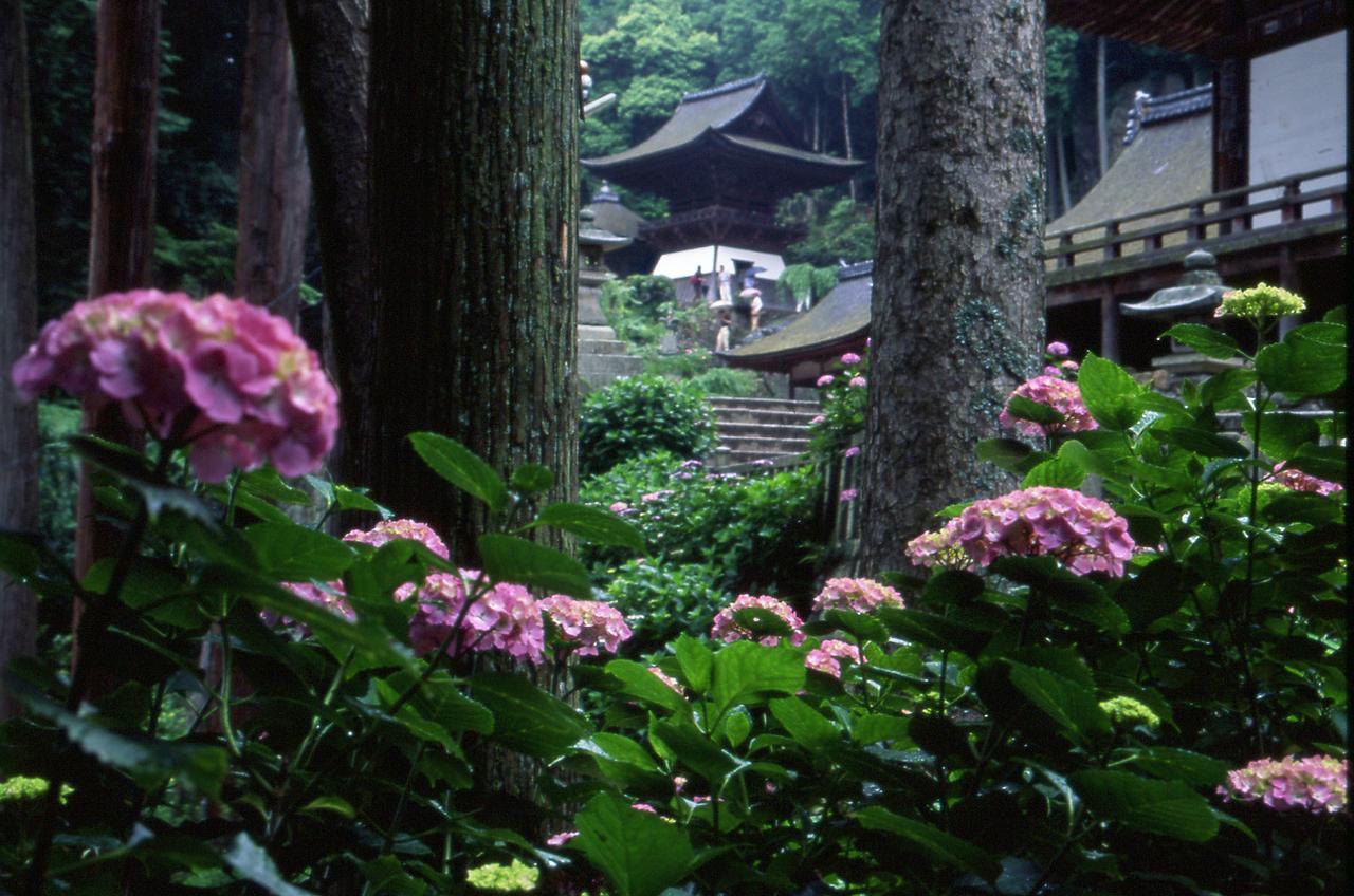 Kitabiwako Hotel Grazie Nagahama  Bagian luar foto